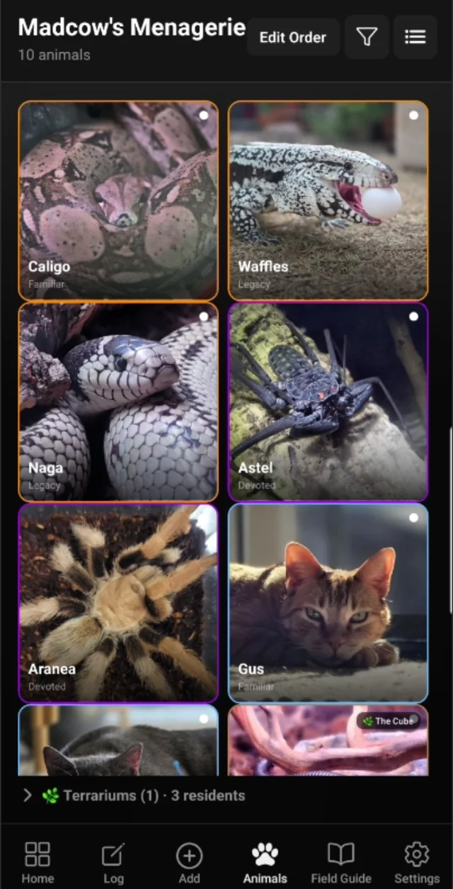 The Animals screen showing a photo grid of a mixed collection: boa, tegu, kingsnake, whip spider, tarantula, and cat